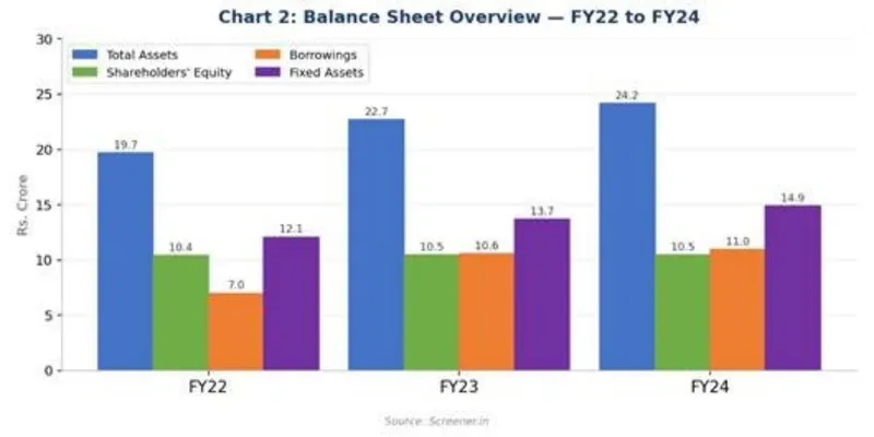 Balance Sheet Summary